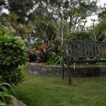 close up chair - outdoor memorial gardens