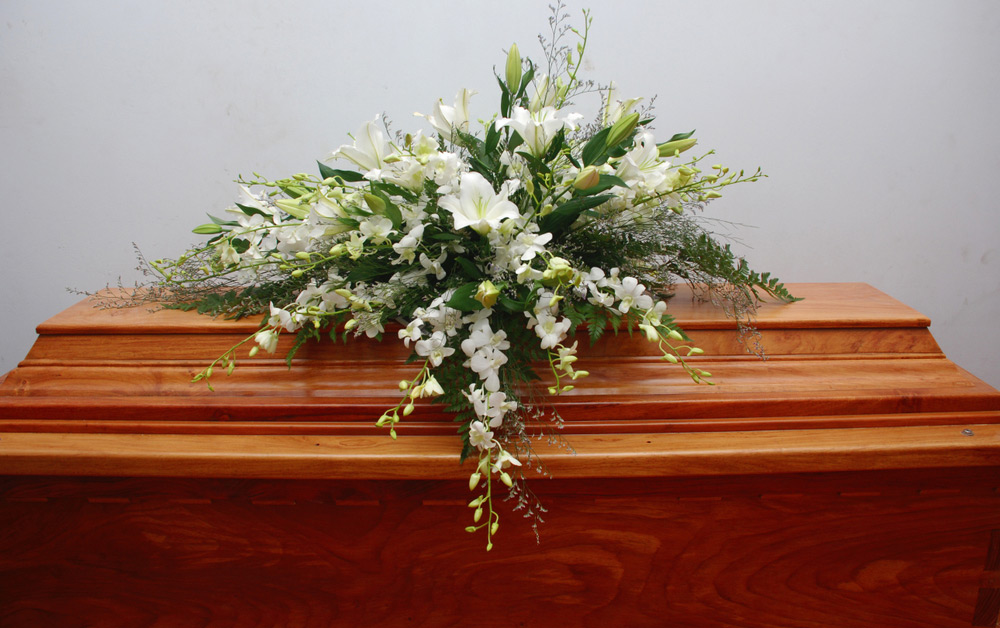 Gold Coast Funerals Funeral Directors Eco Memorial Park