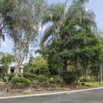 nature outside funeral chapel in Logan, Gold Coast