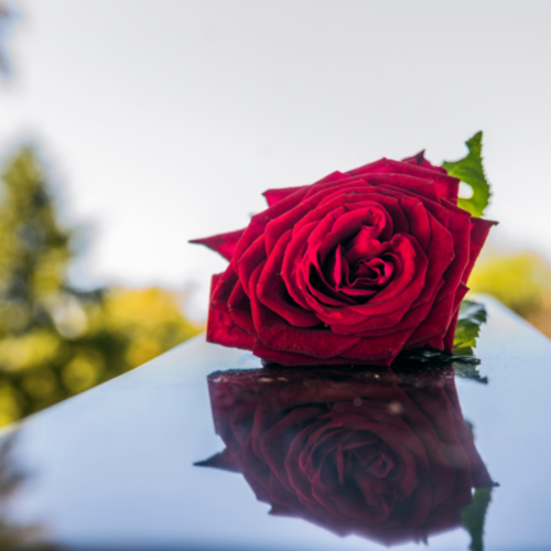 red rose on casket at funeral home