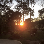 sunset at memorial gardens